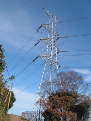 ��B�d�͎ᏼ������S��