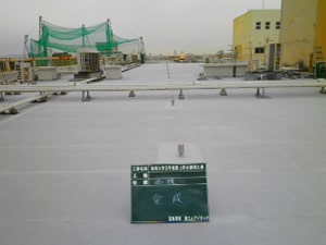 ������w�X���ِ���