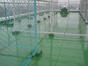 �Ð약�u��}���V����